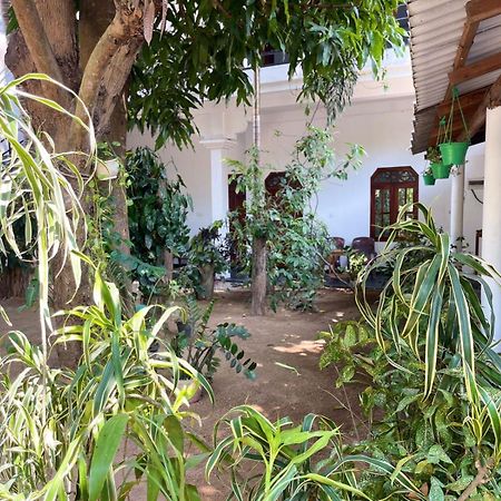 Arugambay Village Vịnh Arugam Ngoại thất bức ảnh