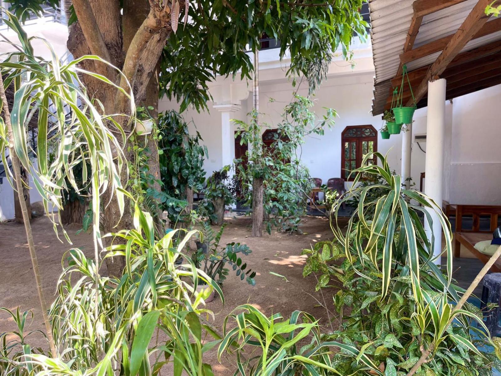 Arugambay Village Vịnh Arugam Ngoại thất bức ảnh